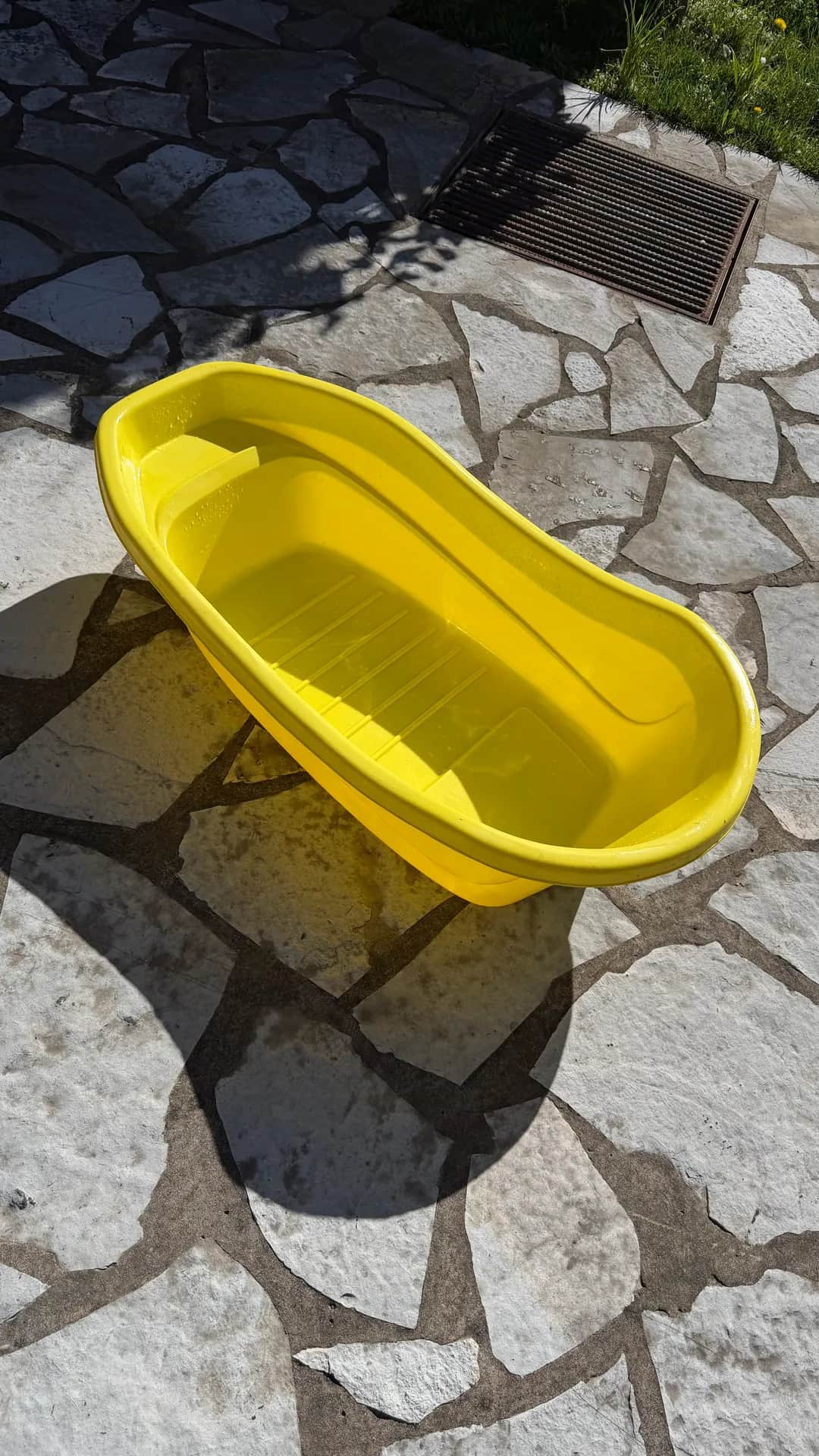 Žuta Kadica 🛀